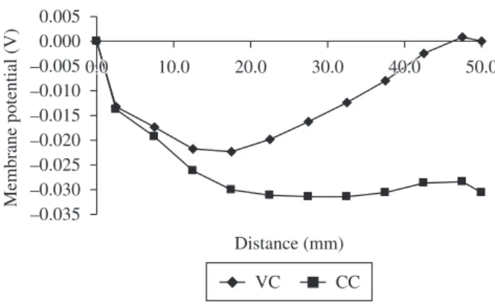 Figure 11. Membrane potential (respect to the cathode) at the end of the test  (288 hours) current control: CC, and voltage control: VC.