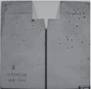 Figure 1 shows a mortar specimen representative of all the  samples used in this work, ready to be subjected to the stable crack  propagation test by the wedge splitting method.