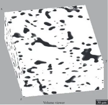 Figure 3. 3-D reconstruction of the microstructure of the Ti-6Al-4V alloy  sintered at 1250 °C showing matrix and pores.