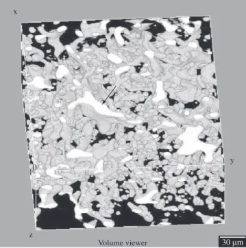 Figure 5. 3-D reconstruction of the microstructure of the Ti-6Al-4V alloy  sintered at 1400 °C.