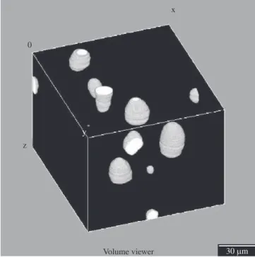 Figure 8. Enlarged view of the 3-D reconstruction showing the pore structure  in the compact sintered at 1500 °C.