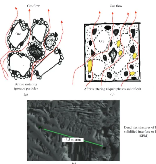 Figure 2. Gas flow heat transfer and phase evolution during the iron ore sintering.