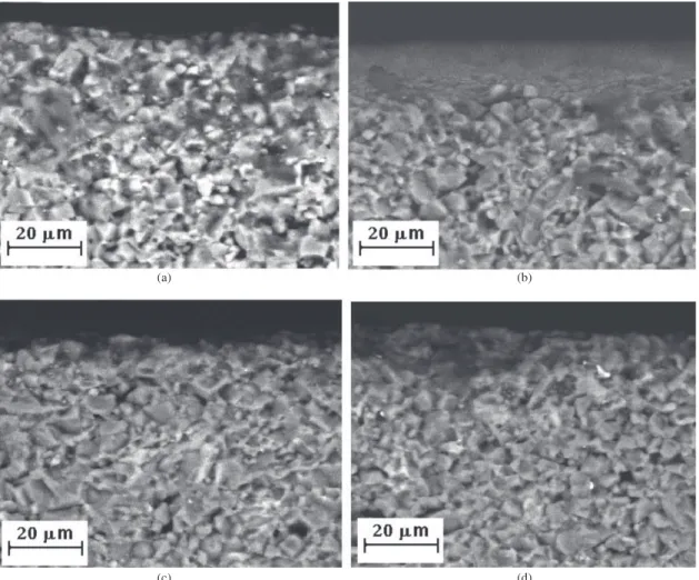 Figure 4 shows a cross section SEM-view of alumina-3  vol.% Ti specimen after the cementation process
