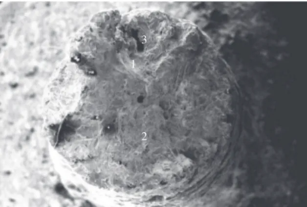 Figure 1. SEM micrograph of fracture surface of control group cpTi  at 35X magnification: 1.ductile; 2.brittle;3.microcavity.