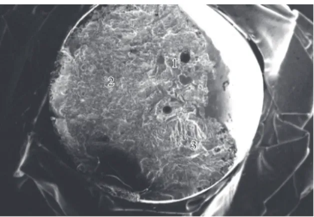 Figure 7. SEM micrograph of fracture surface of laser-welded cpTi  sample at 35X magnification.