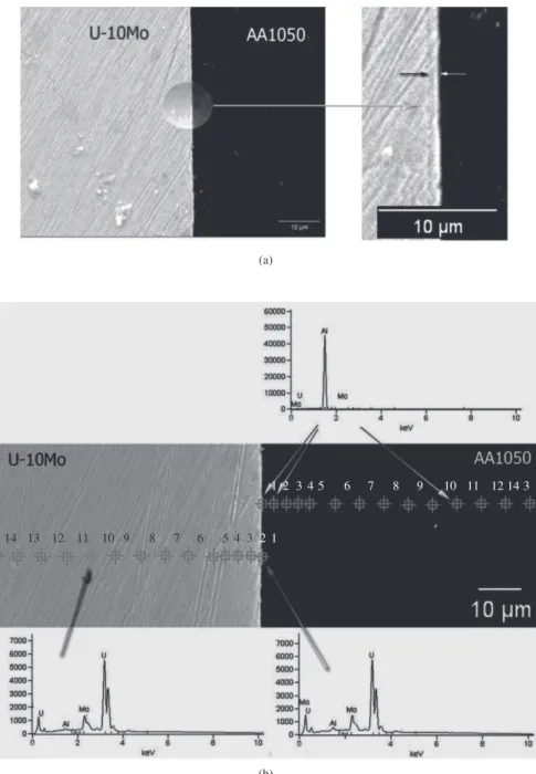 Figure 4. Interdiffusion pair U-10Mo/AA1050 after heat treatment of 80 hours at 550 °C