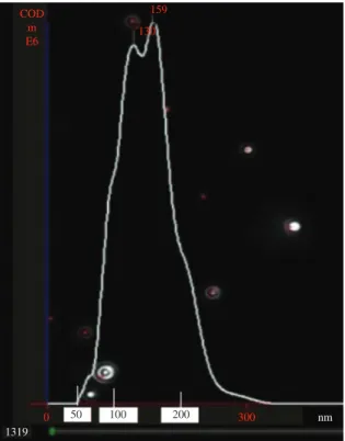 Figure 2 shows particle agglomerates of about 150 nm. 