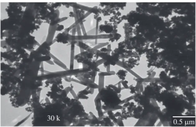 Figure 4. TEM image of zirconia nanoparticles synthesized by  sol-gel method using Zr(SO 4 ) 2 .H 2 O as precursor.