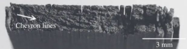 Figure 1. Photograph of CFRP test sample failed under tensile load.