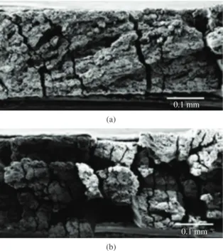 Figure 5. Microfractographic features showing (a) fibre pull out, and (b) fibre radials.