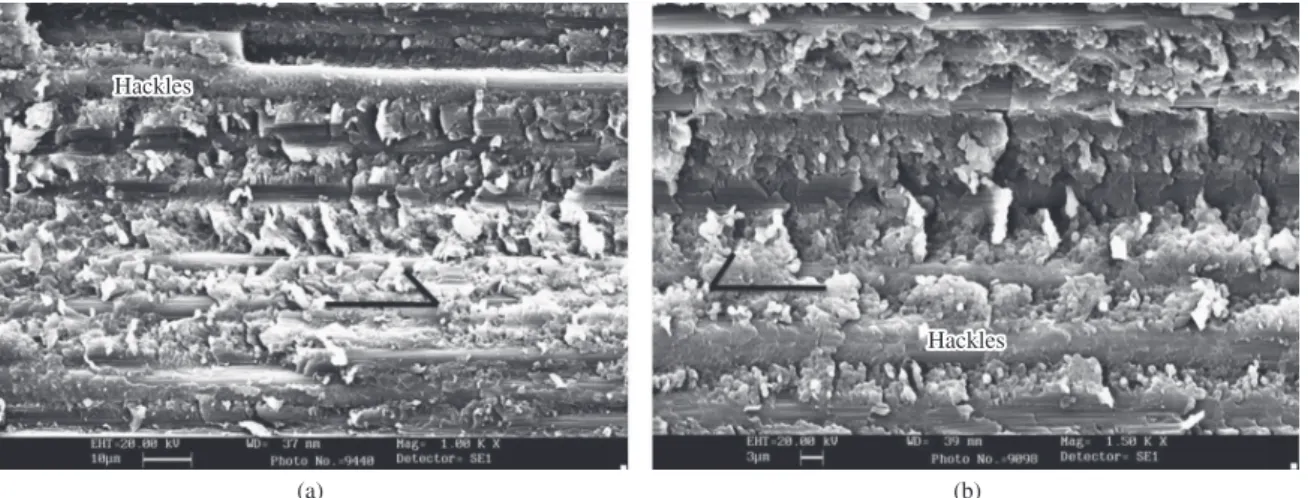Figure 8. Hackles observed in the longitudinal split surface at crack propagation region; half-arrow shows the shear direction.