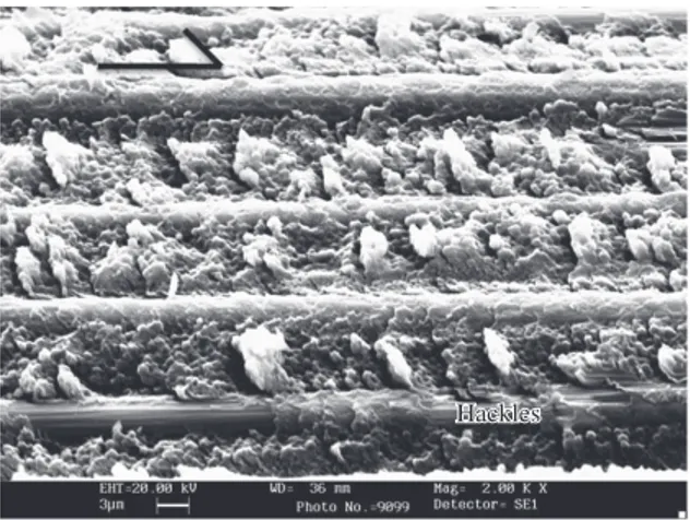 Figure 13. Schematic of state of stress during final fracture region  in a composite specimen that failed under tensile load.