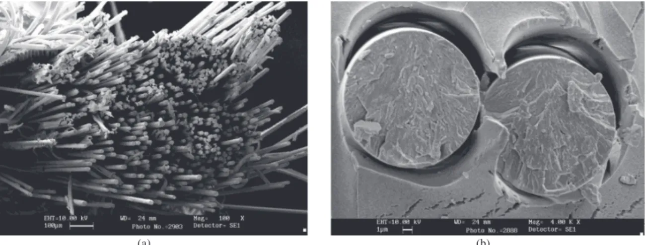 Figure 15. Fractographic features showing (a) longitudinal splitting, and (b) fibre radials (GFRP specimen).