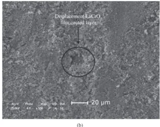 Figure 7 shows the X-ray diffraction patterns of stainless  steel and the coated material after oxidation tests