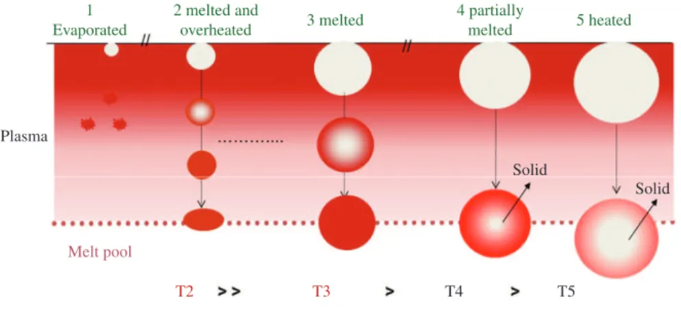 Figure 2. The transverse section of coatings to analyze  microstructural changes and Vickers microhardness measurements.