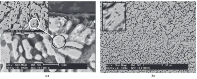 Figure 4. a) NiCrAlC deposited with a 130 A current and exposed to 800 °C for 72 hour