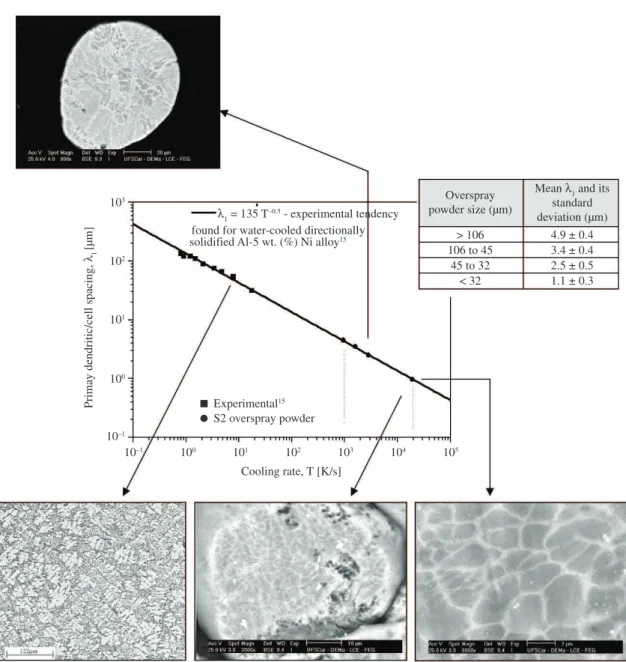 Figure 4 shows also typical microstructures obtained  from the powders as well as from the DS samples