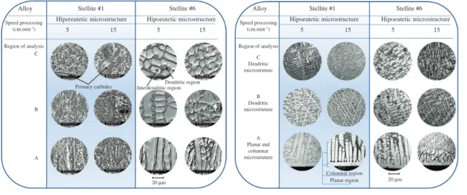 Figure 2. Microstructures relative to cross-section for coatings (a) and mini-billets (b) species.