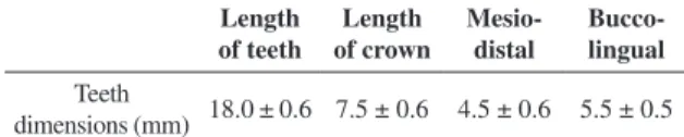Table 1. Dimensions of the teeth selected for this study.