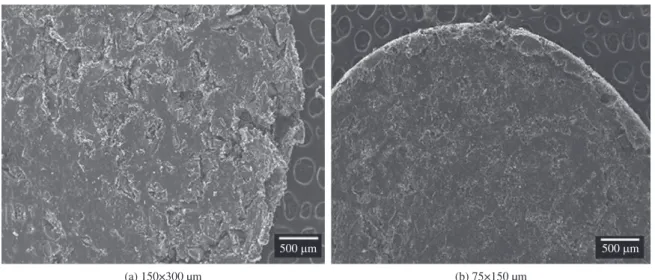 Figure 2 show surface images obtained by scanning  electron microscopy (SEM) of the pellets manufactured with  each particle size