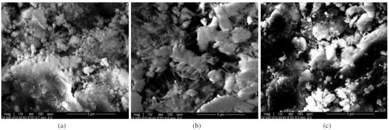 Figure 7. SEM of hardened cement paste containing 0% (a), 10% (b) and 15% (c) of silica gel.