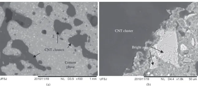 Figure 9. C6 composite images obtained by SEM in backscattered electron mode at (a) 100x of magnification (b) 1800x of magnification (ITZ).