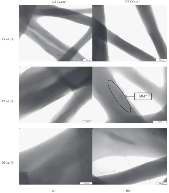 Figure 10a shows TEM micrographs of the N3 nanofibers  while Figure 10b shows of the N5 nanofibers, at different  concentrations and applied electrical field