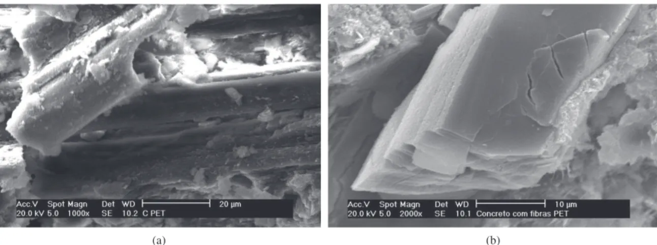 Figure 7. SEM micrograph showing PET fibers presenting intense degradation after one year in the alkaline concrete environment