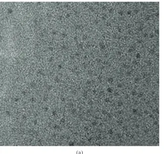 Figure 4. Nanoparticles of sample B and its Fourier transform with the martensite plane.