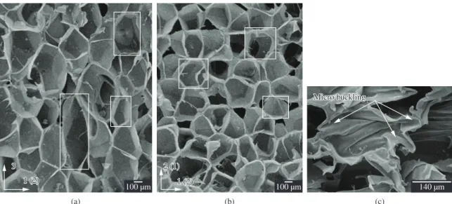 Figure 5. Micrographs of the H60 Divinycell foam: a) Morphology of plane 3-1(2); b) Morphology of plane 1-2; and c) Micro buckling  of cells.