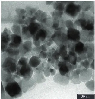 Figure 2 shows the XRD diagrams of the samples. The  synthesis of Mn 3 O 4 , in both the absence and presence of  magnetite, can be confirmed by the presence of diffraction  peaks corresponding to a tetragonal structure of Mn 3 O 4 (JCPDS, 24-0734-hausmann