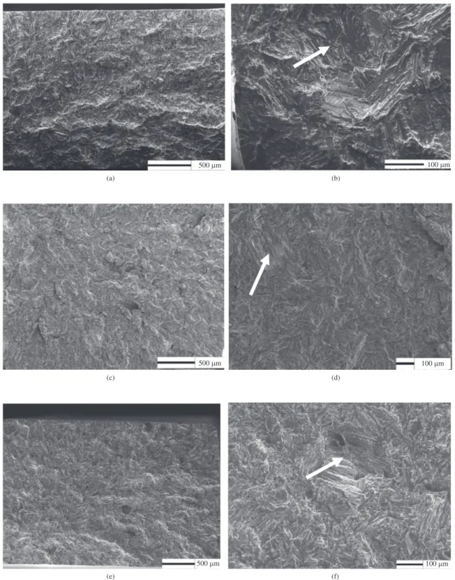 Figure 8. SEM photographs of the fracture surfaces (a), (b) 5 °C/min; (c), (d) 10 °C/min; (e), (f) 50 °C/min.