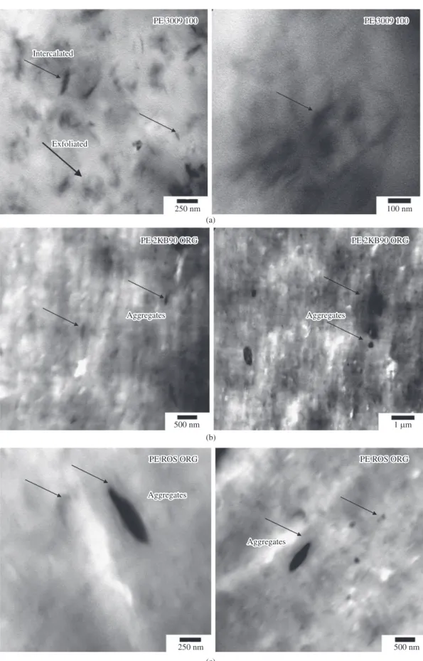 Figure 3. TEM photomicrographs of the systems processed in two extruders: a) counter- rotating (PE 3009 100) and modular co-rotating  b) 2KB90 and c) ROS