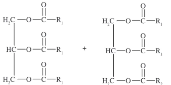 Figure 1. Castor oil triglyceride.
