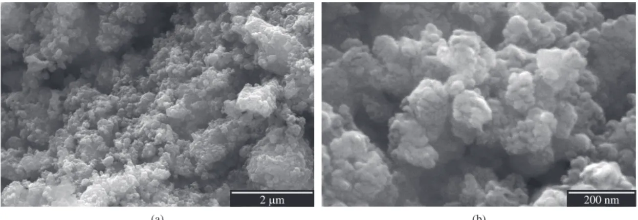 Figure 3. SEM images using secondary electrons of 2Mg-Fe (Fe powder) sample milled under hydrogen pressure for 60 hours