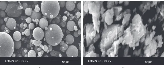 Figure 1. SEM micrograph of a) FA and b) RHBA used in this study.