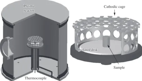 Figure 1. Diagram of the nitriding reactor and view of the cathodic cage containing a sample.