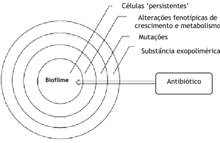 Figura 8: Diagrama conceptual dos mecanismos de resistência dos biofilmes (adaptado de [65]).