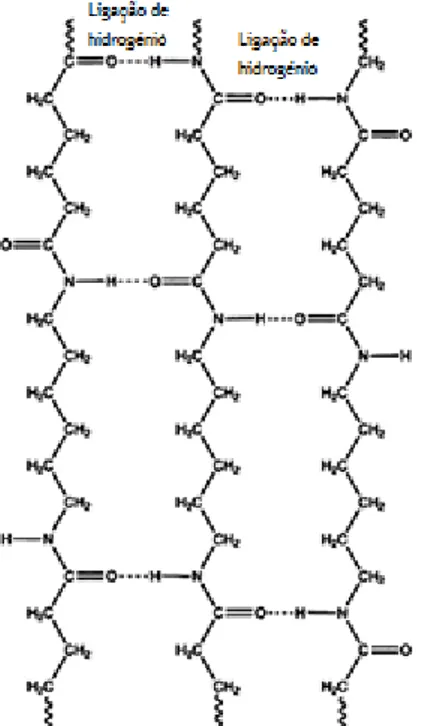 Figura  1.7-  Representação  esquemática  das  ligações  de  hidrogénio  amida-amida  existentes  na  PA  6.6 (adaptado de [30])