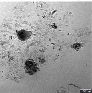 Figure 5. Cryo transmission electron micrograph of a diluted and  electrostatically stabilized suspension (A80A) with 0.5 wt
