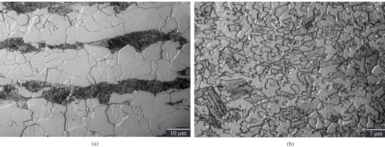 Figure 1a shows a microstructure composed by ferrite  and pearlite in clear and dark color, respectively, with grain  contours well-defined even in ferrite-ferrite interface