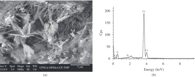 Figure 11. SEM micrographs and EDS of fracture surface region of Portland cement mortars containing 10 wt.(%) leather shaving treated  in basic medium concentration 1:2 (reagent:water)