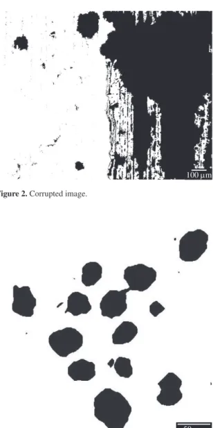 Figure 3. Typical image used for volume fraction measurements.