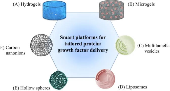 Figure 6. Schematic representation recapitulating platforms for protein/growth factor delivery
