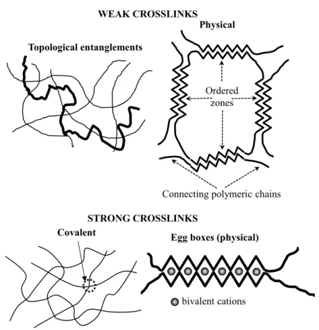 Figure 1. Representative examples of chemical and physical crosslinks occurring in hydrogels