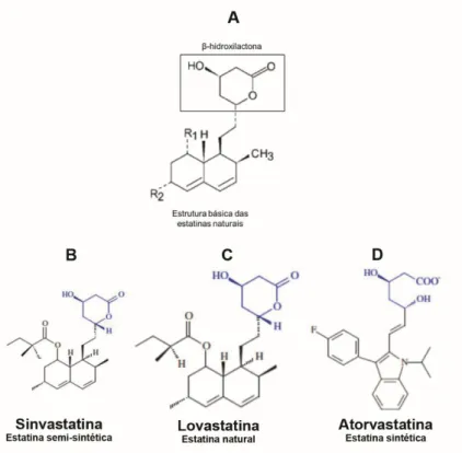 Figura  2.  Representação  molecular  de  algumas  estatinas  evidenciando  como  são  similares  estruturalmente