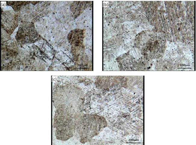 Figure 6 shows the optical and scanning electron  micrographs of the hot-rolled sample