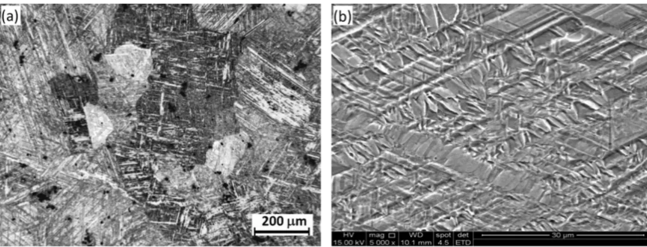 Figure 6. (a) Optical and (b) scanning electron micrographs of hot-rolled sample. Sample was etched with 4% Nital.