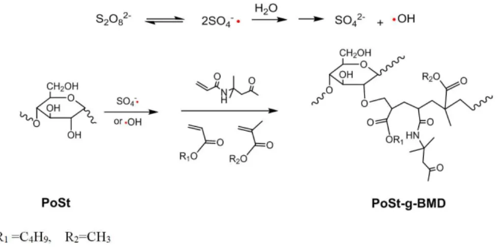 Figure 1. The graft copolymerization of BA, MMA and DAAM on PoSt (R 1  =C 4 H 9 , R 2 =CH 3 ).
