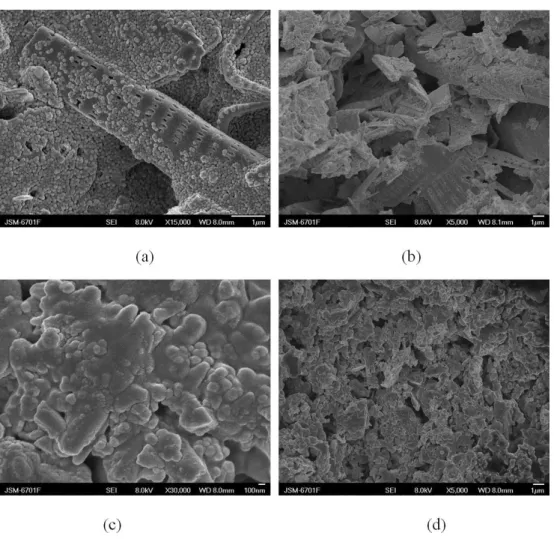 Figure 10. SEM images of PoSt-g-BMD-C and traditional interior wall coatings ((a) Surface of PoSt-g-BMD-C; (b) Cross Proile of  PoSt-g-BMD-C; (c) Surface of traditional interior wall coatings; (d) Cross Proile of Traditional interior wall coatings).